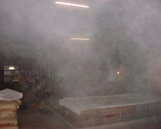 ���C�œ܂鑠�̒�