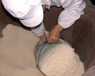 ���������������̎��o��